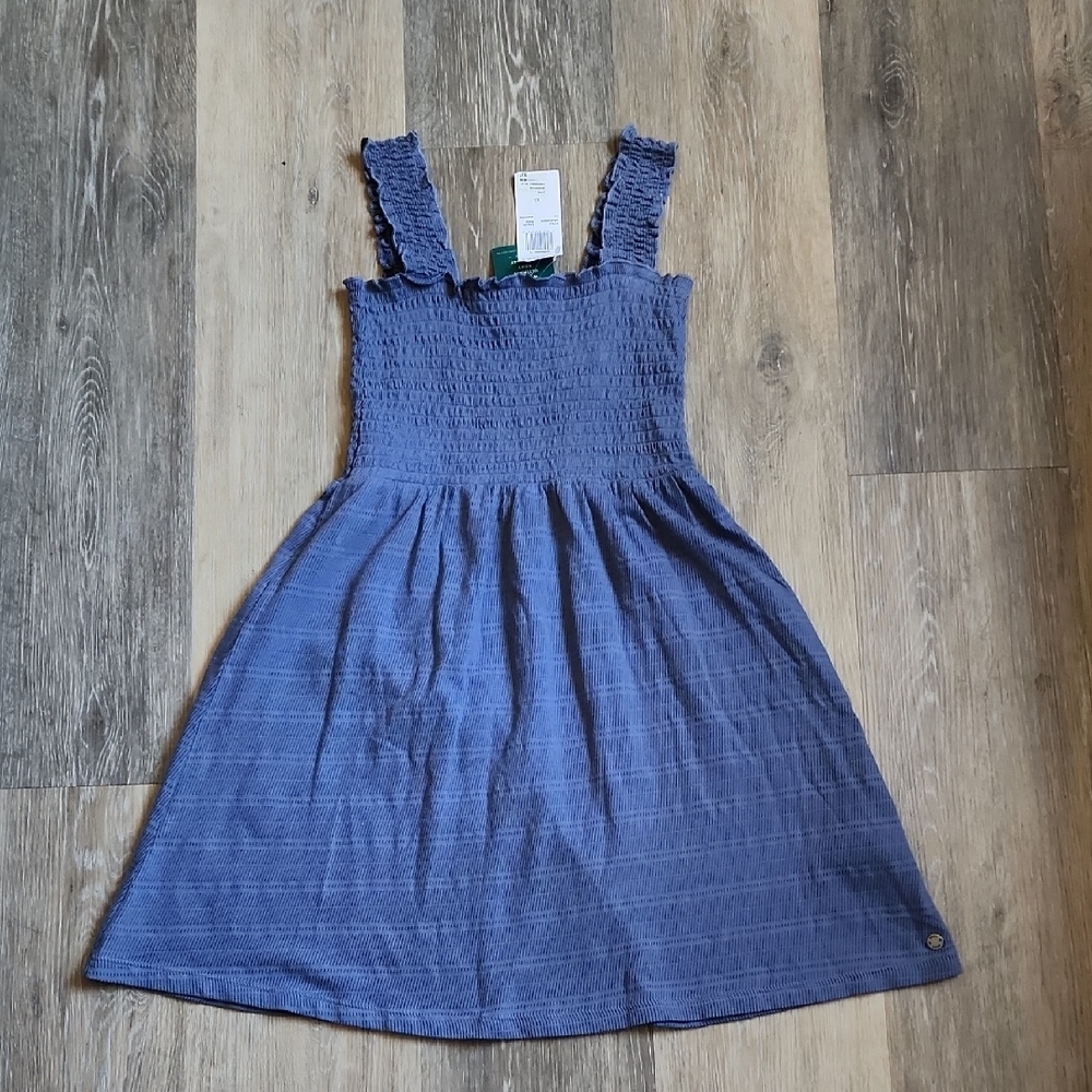 Roxy Blue Mini Dress